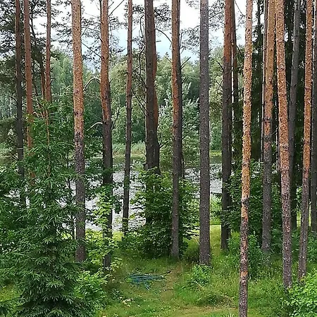 Daire Sisaliku Puhkemaja Saunaga Luke