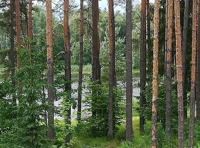 Apartamento Sisaliku Puhkemaja Saunaga Luke